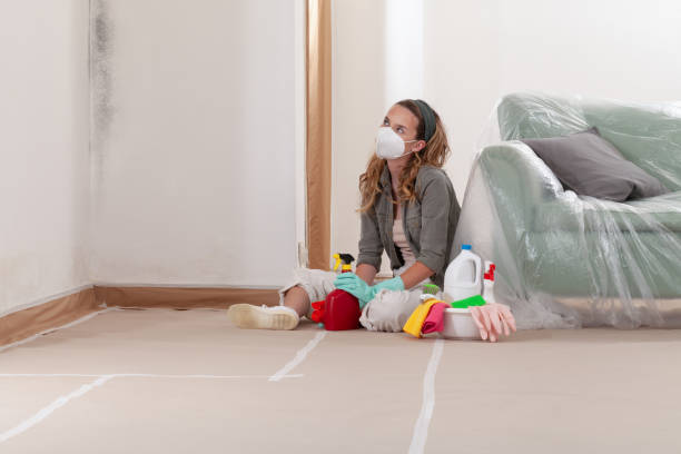 Reliable Commercial Mold Remediation contractor in Charlestown, MD by WQB Mold Removal